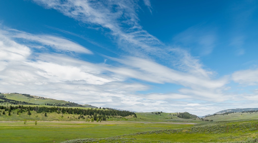 Lamar Valley which includes landscape views and tranquil scenes