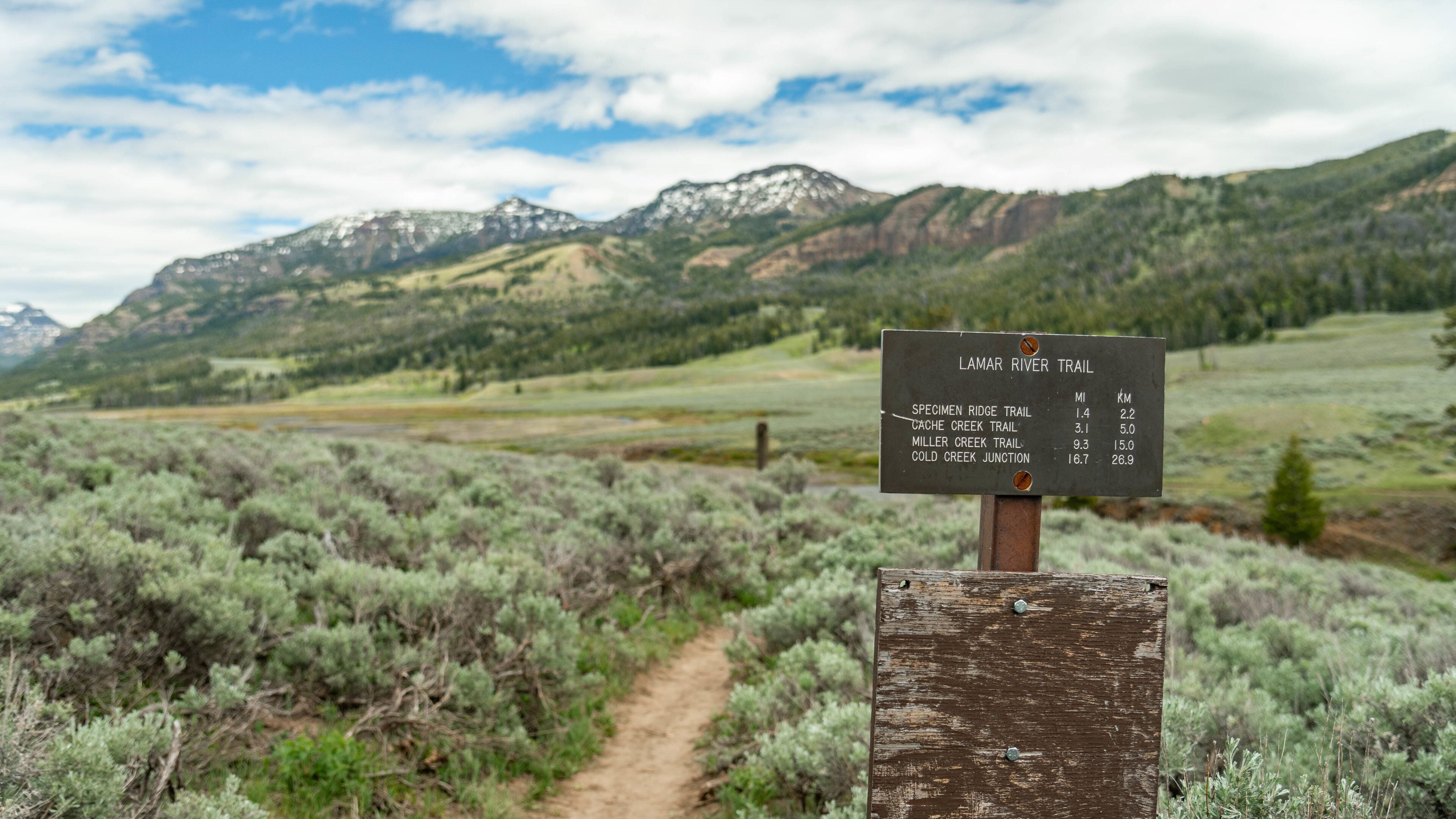 Wegweiser mit Entfernungen zu verschiedenen Punkten: Specimen Ridge Trail (1,4 Meilen / 2,2 km), Cache Creek Trail (3,1 Meilen / 5,0 km), Miller Creek Trail (9,3 Meilen / 15,0 km) und Cold Creek Junction (16,7 Meilen / 26,9 km).