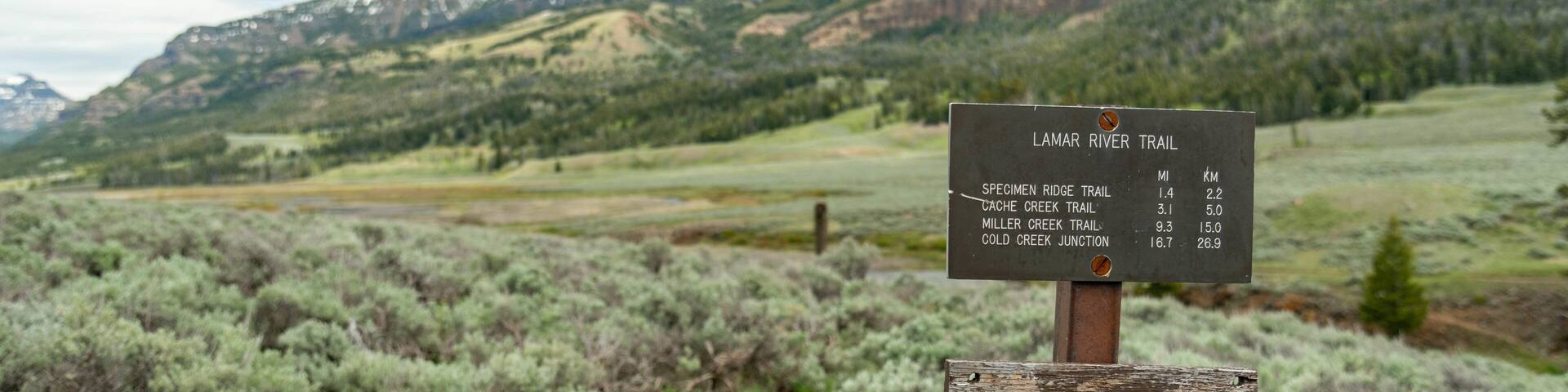 A trail sign with distances to various points: Specimen Ridge Trail (1.4 mi / 2.2 km), Cache Creek Trail (3.1 mi / 5.0 km), Miller Creek Trail (9.3 mi / 15.0 km), and Cold Creek Junction (16.7 mi / 26.9 km).