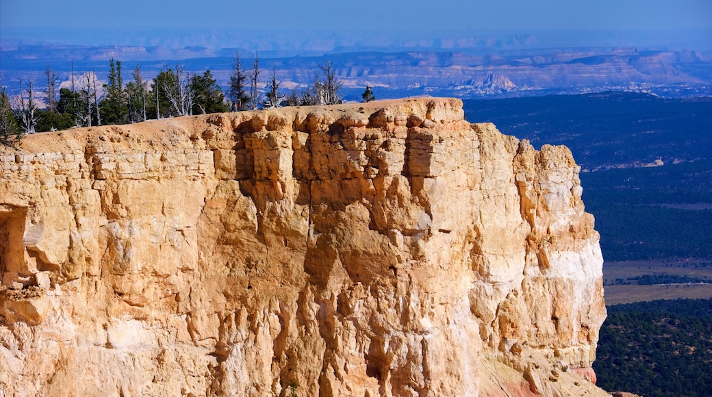 Yovimpa Point featuring tranquil scenes and landscape views