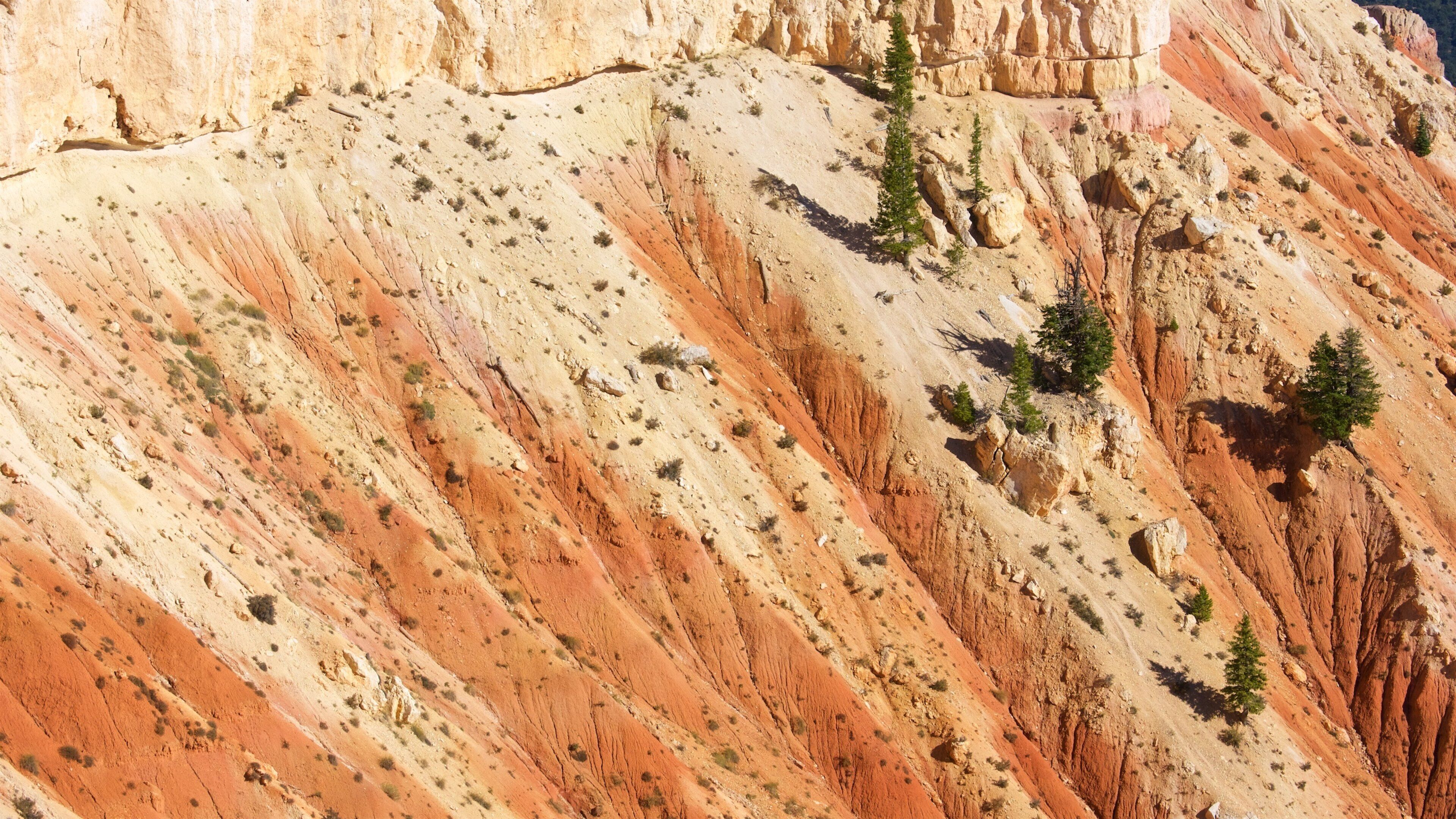 Yovimpa Point แสดง ทิวทัศน์ที่เงียบสงบ