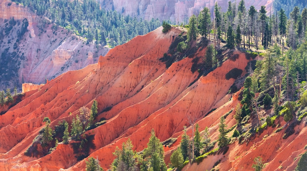 Yovimpa Point featuring tranquil scenes