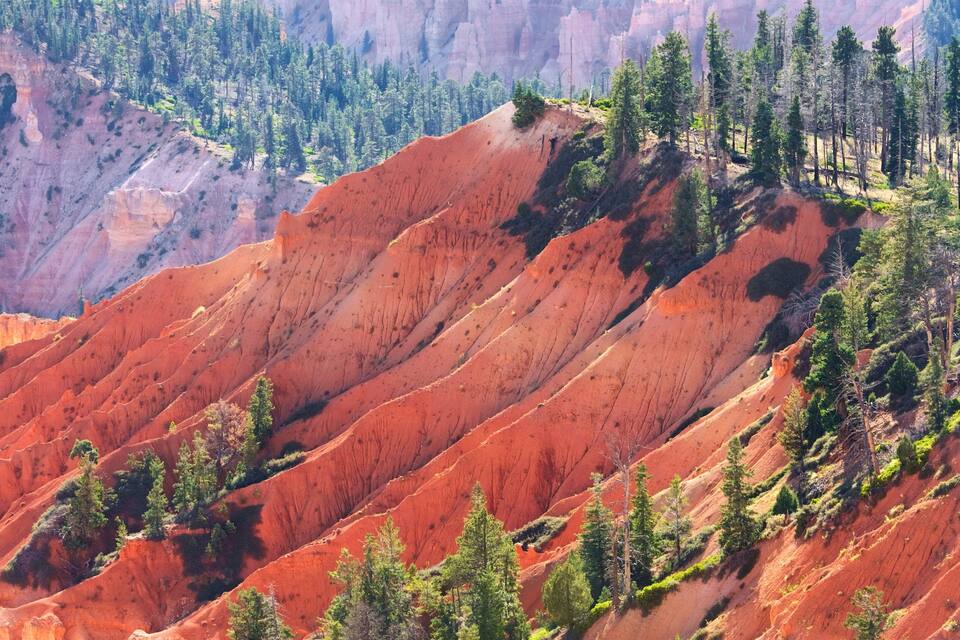 A red rock canyon with steep slopes and scattered trees.