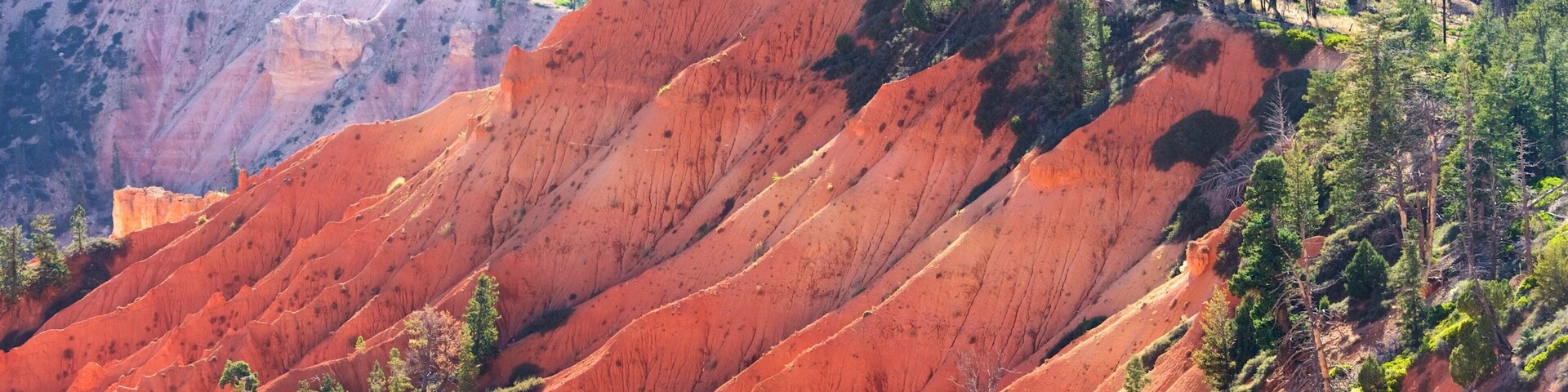 Yovimpa Point featuring tranquil scenes