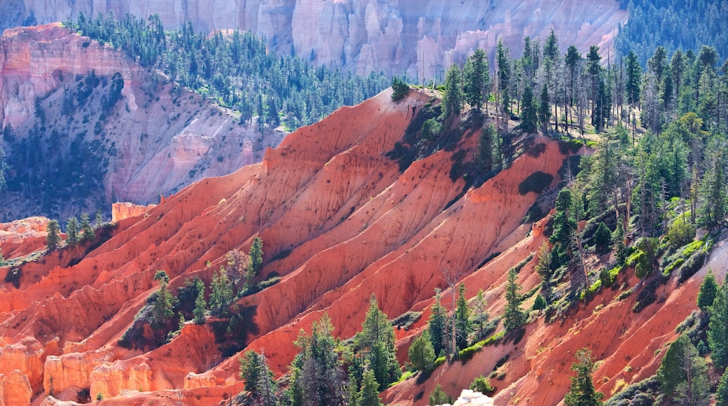 Yovimpa Point featuring tranquil scenes