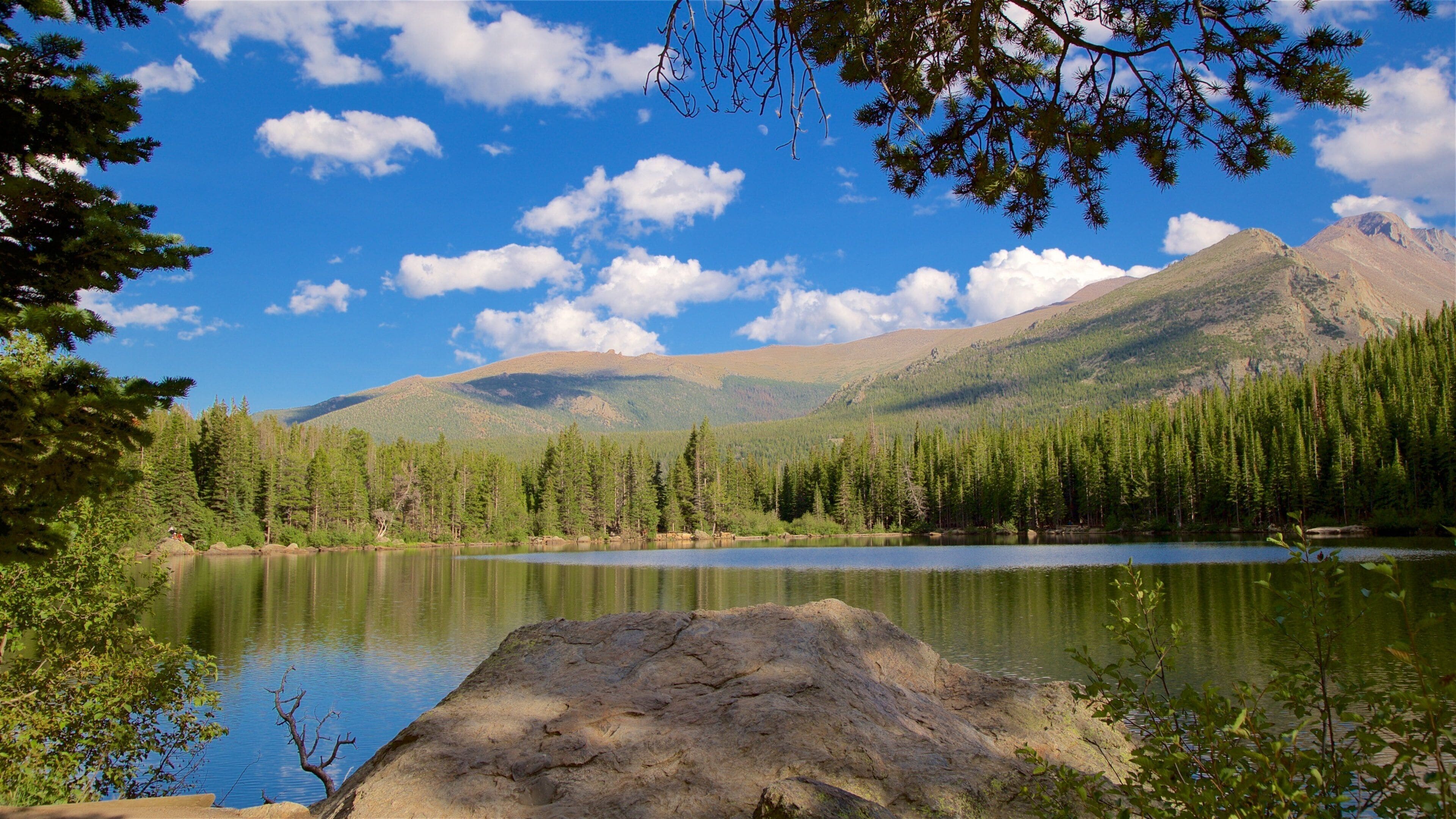 A mountain lake surrounded by dense forests and a clear blue sky.