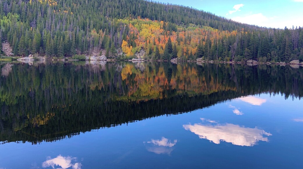 Fall in Rocky Mountain National Park.