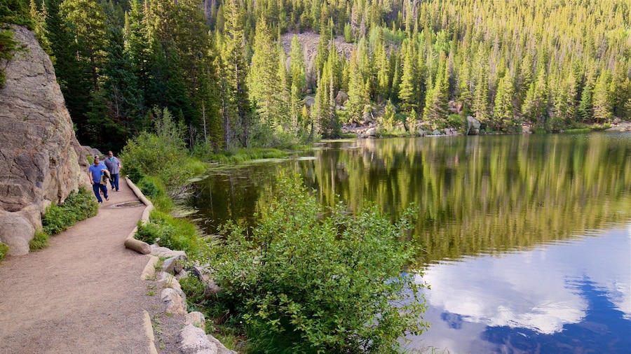 Chemin de randonnée Bear Lake Trailhead