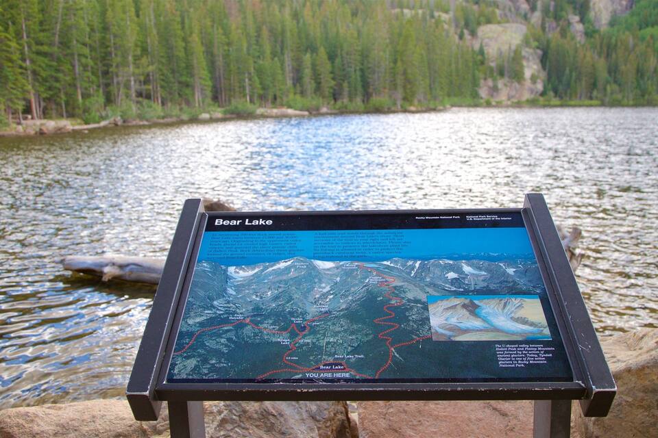 Un mapa del lago Bear, con una costa rocosa y un fondo boscoso.