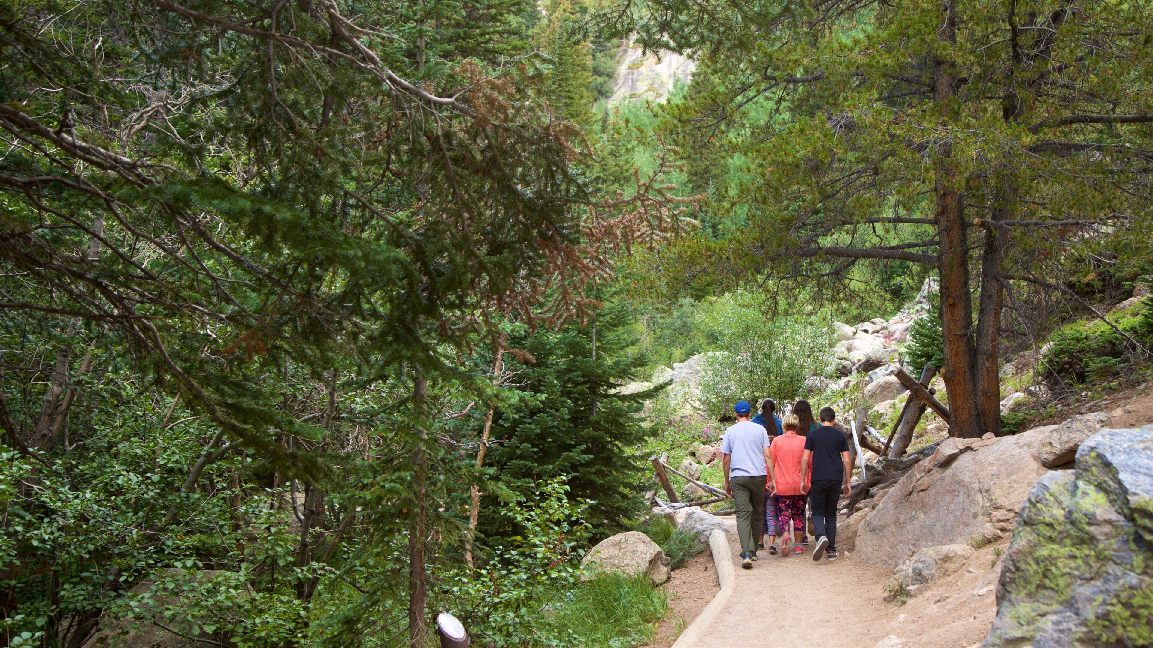Sendero Bear Lake que incluye bosques y también un grupo pequeño de personas