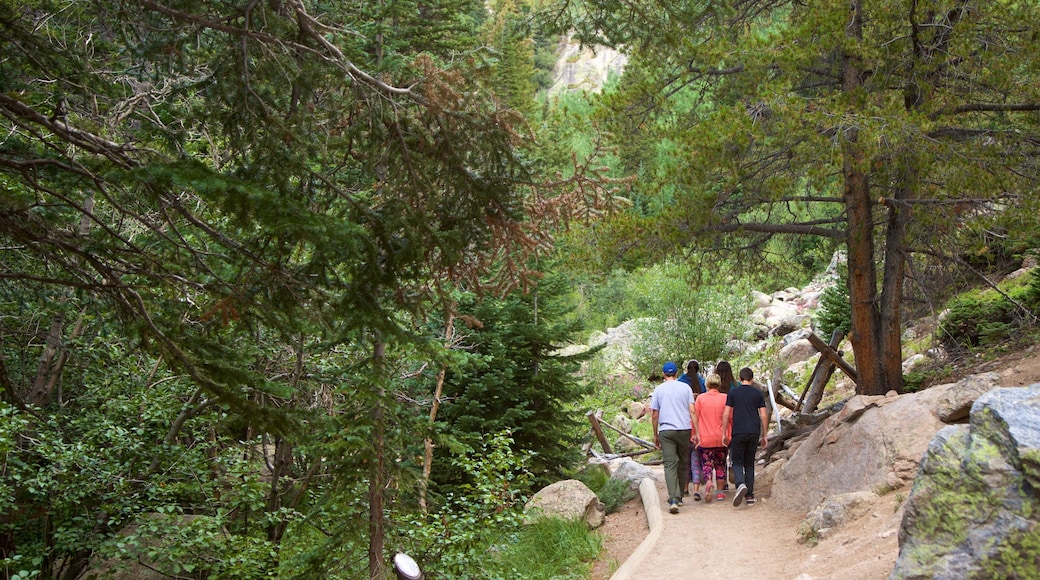 Sendero Bear Lake que incluye bosques y también un grupo pequeño de personas