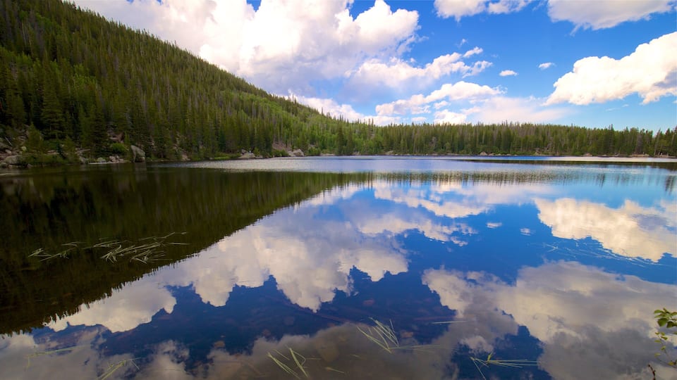 A calm lake reflecting the sky and surrounding forest.