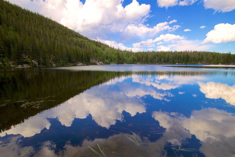 A calm lake reflecting the sky and surrounding forest.
