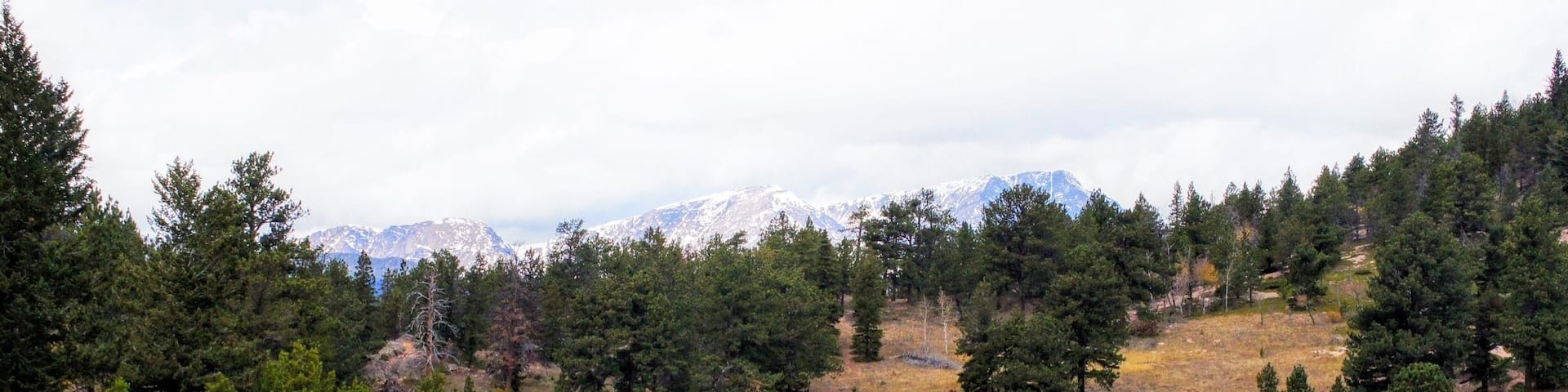 Lily Lake is a 0.8 mile heavily trafficked loop trail located near Estes Park, Colorado that features beautiful wild flowers and is good for all skill levels. The trail offers a number of activity options and is best used from May until November.