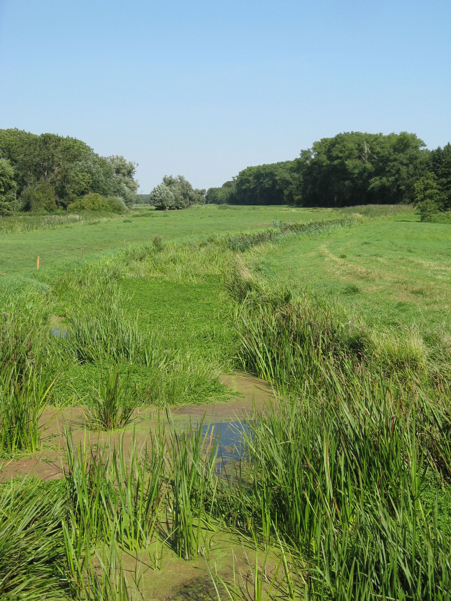 Warbel in Wasdow, disctrict Güstrow, Mecklenburg-Vorpommern, Germany