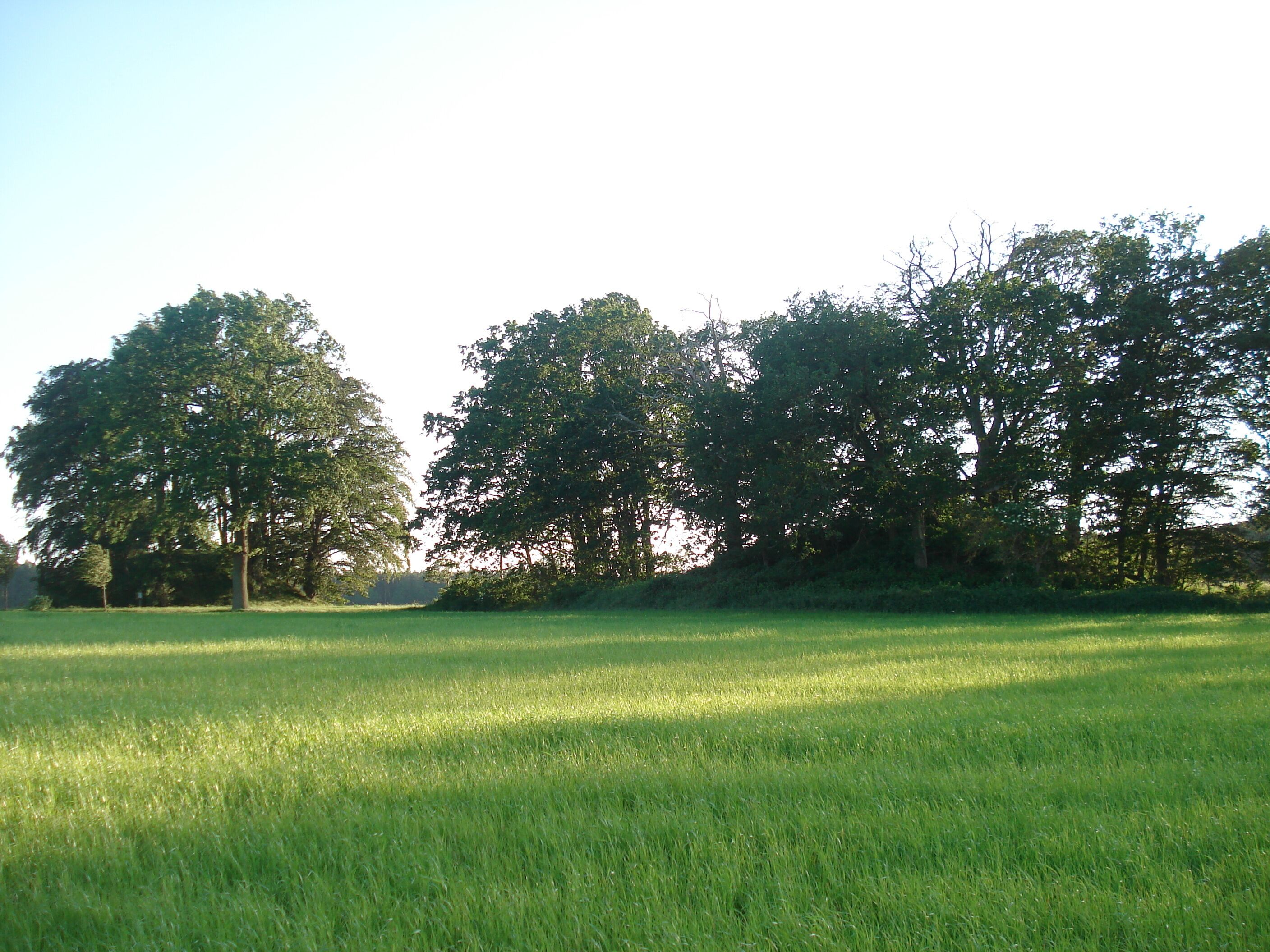 Tumuli in Neu Quitzenow (Municipality Behren-Lübchin, district Rostock, Mecklenburg-Western Pomeranian, Germany)