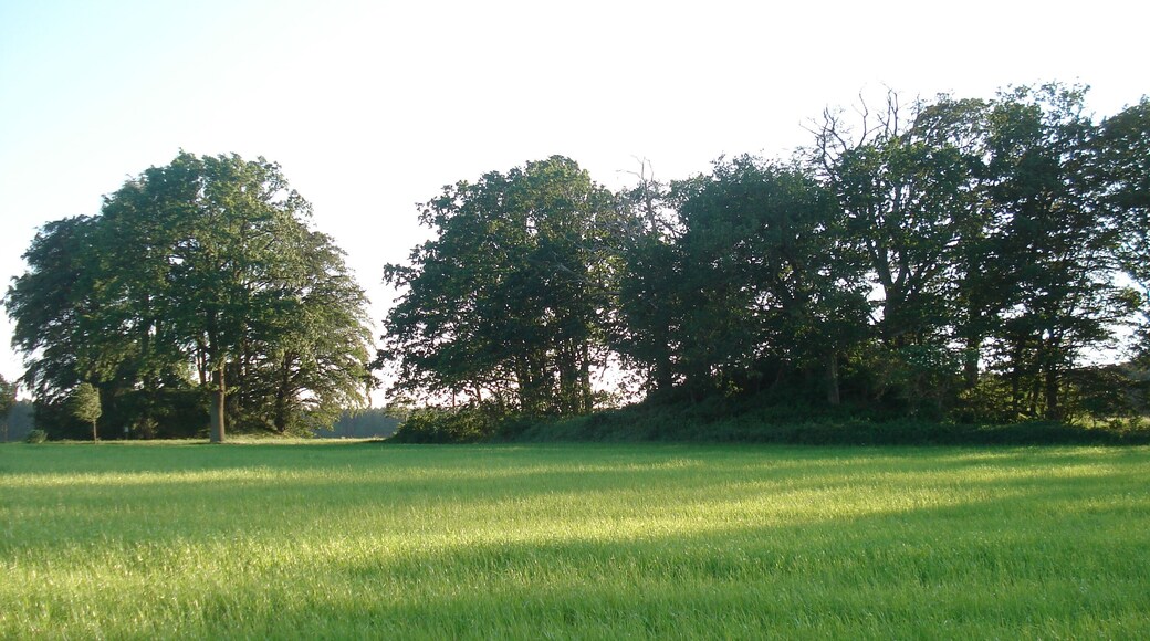 Tumuli in Neu Quitzenow (Municipality Behren-Lübchin, district Rostock, Mecklenburg-Western Pomeranian, Germany)