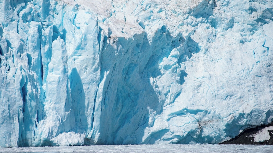 Holgate Glacier in Kenai Fjords National Park.