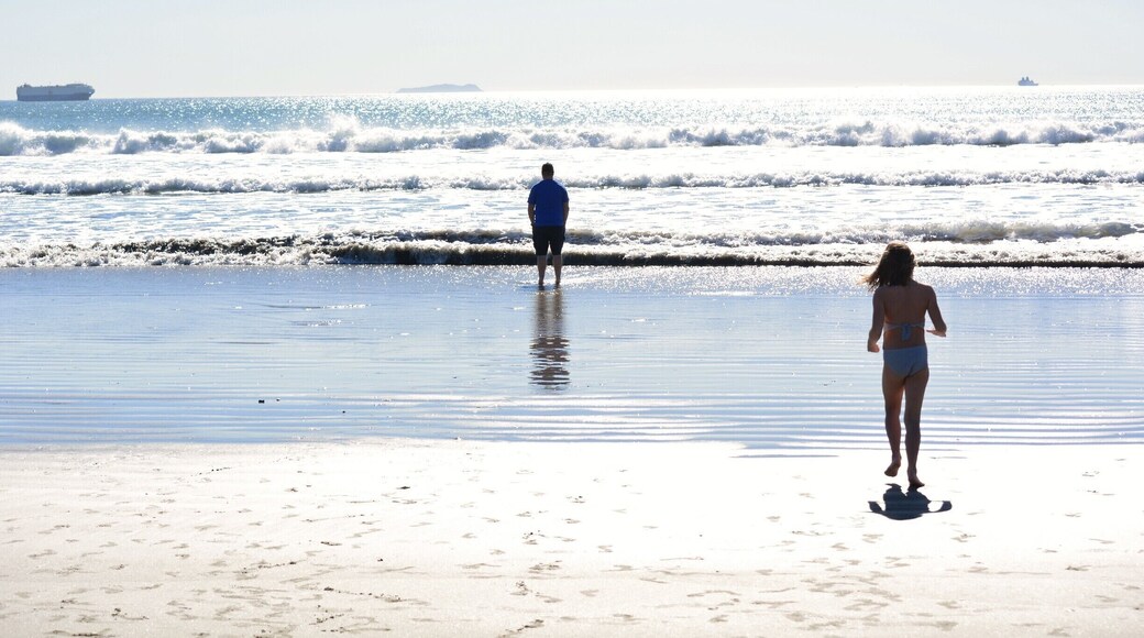 Coronado Beach was the most magical beach to explore and discover. My children spent hours finding and collecting all varieties of sea shells along the vast beach and loved to race the waves as they rolled in. We Loved Coronado. #BeachBound