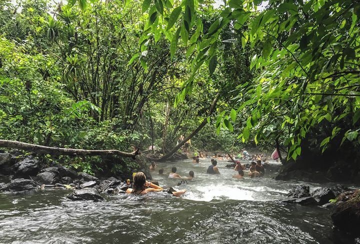A natural hot spring surrounded by dense forest.