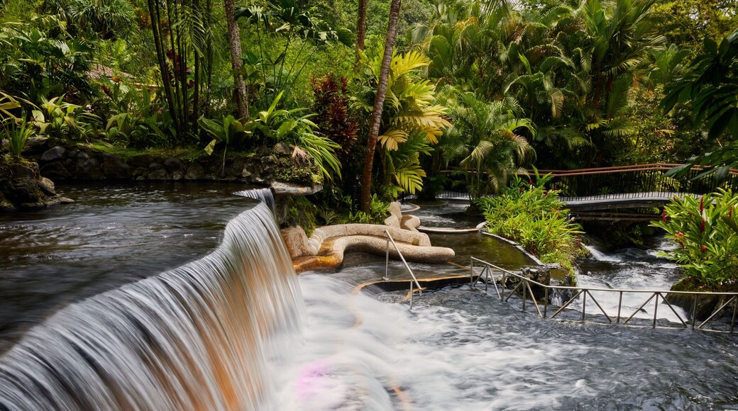 Aguas termales de Arenal