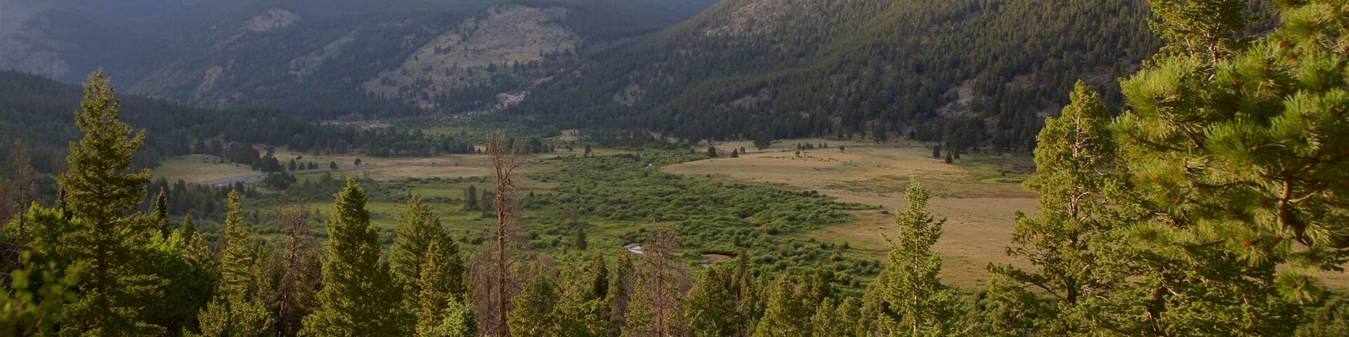 Horseshoe Park showing tranquil scenes