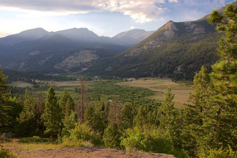 A mountainous landscape with dense forests and a valley.