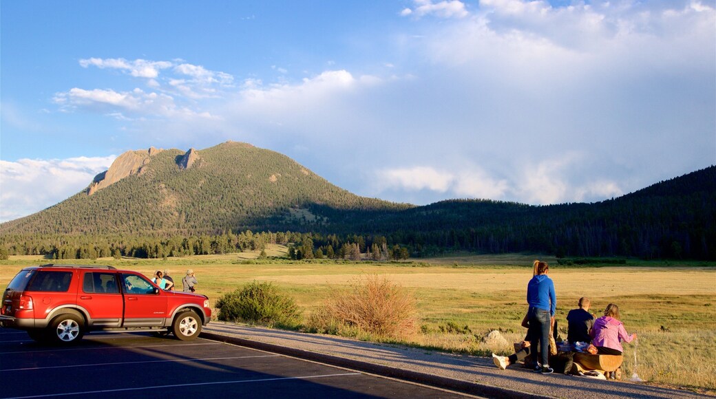 Horseshoe Park showing tranquil scenes and mountains as well as a family