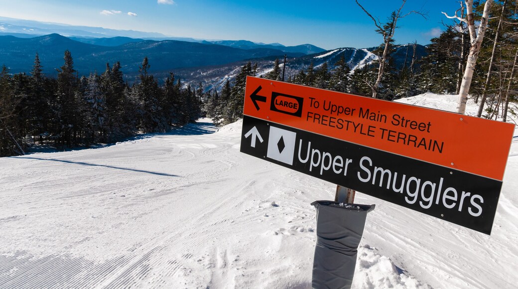 Spruce Peak