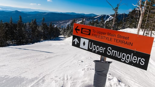 Ett snötÀckt berglandskap med en skylt som visar vÀgen till Upper Main Street och Upper Smugglers.