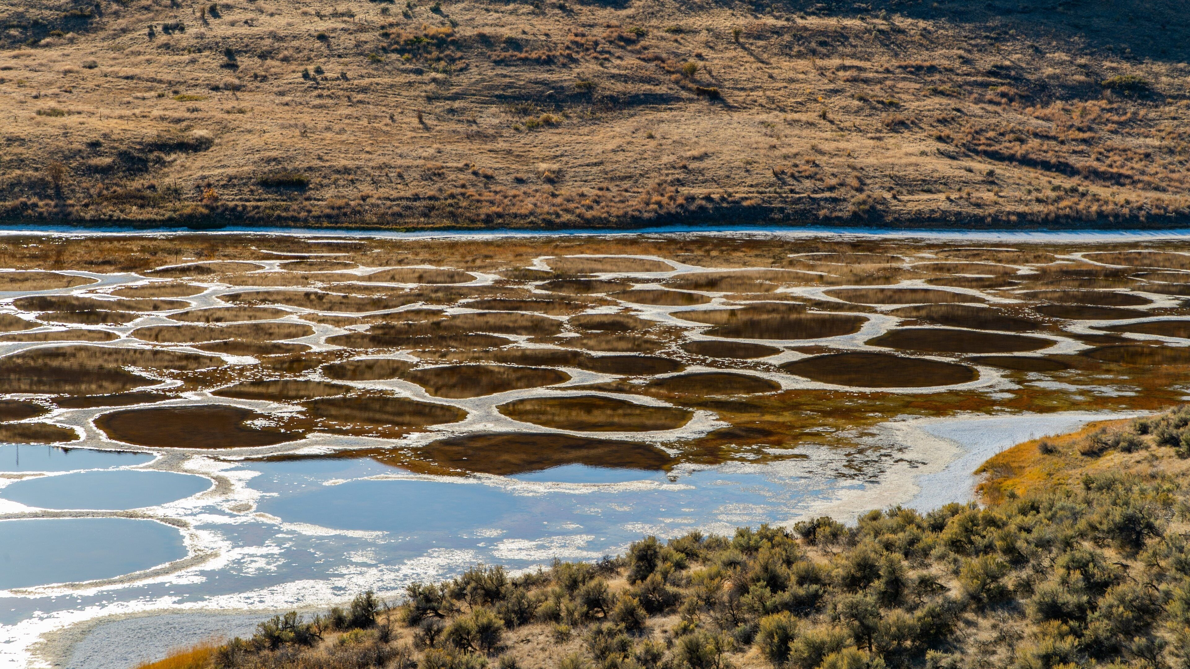 Spotted Lake which includes a lake or waterhole