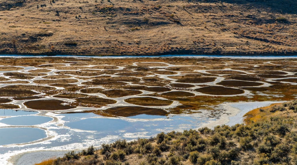 Spotted Lake which includes a lake or waterhole