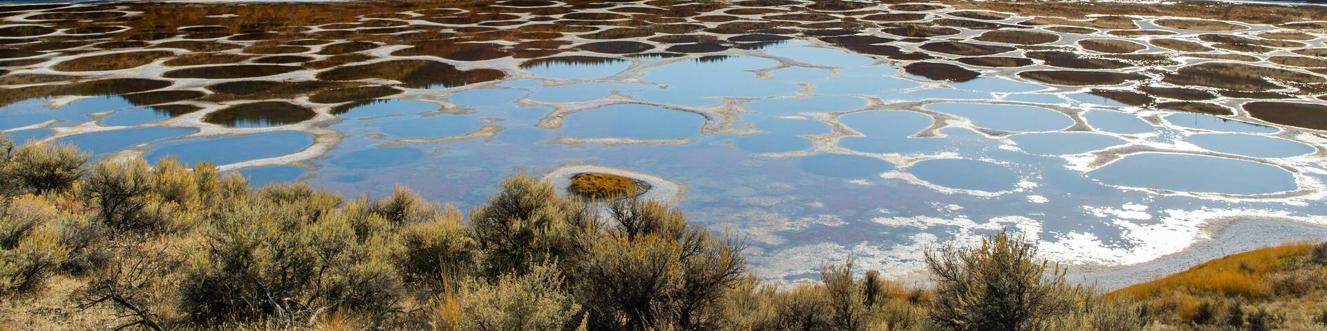Spotted Lake featuring a lake or waterhole and tranquil scenes