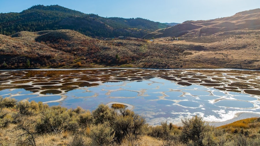 Spotted Lake featuring a lake or waterhole and tranquil scenes