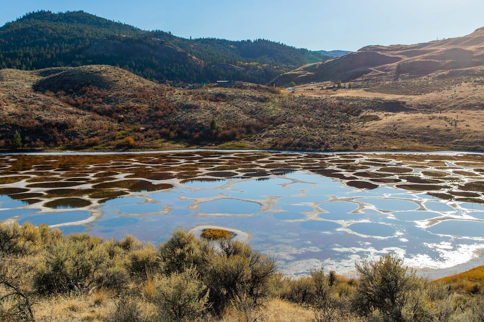 A salt flat with circular patterns, surrounded by dry shrubbery and hills.