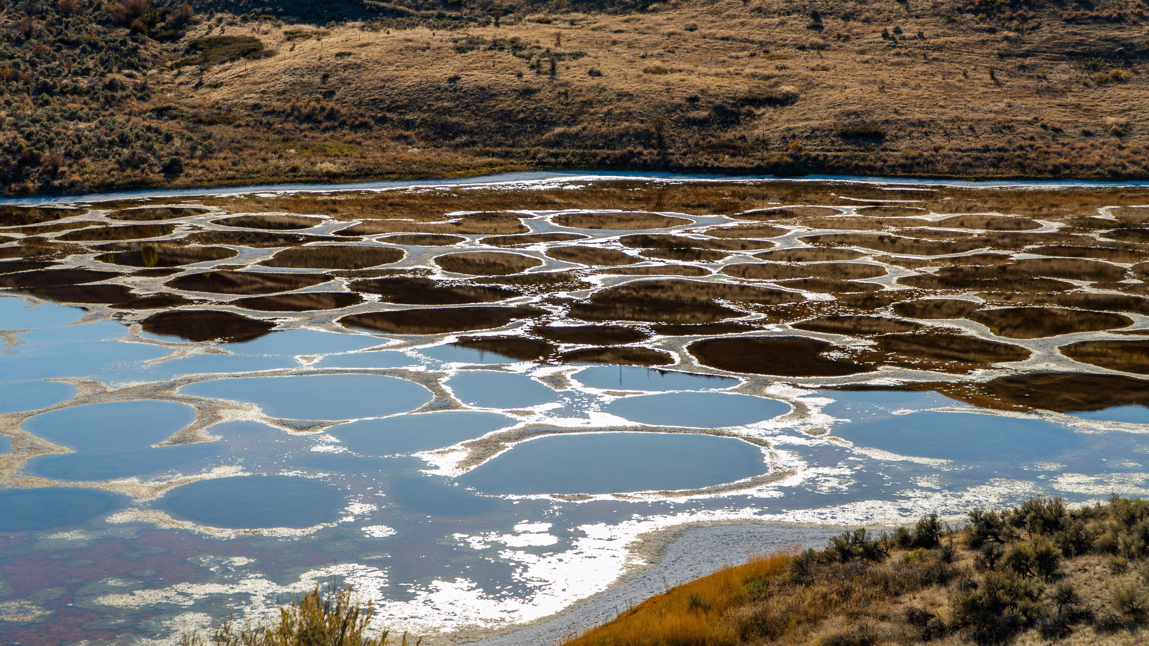 Spotted Lake showing a lake or waterhole