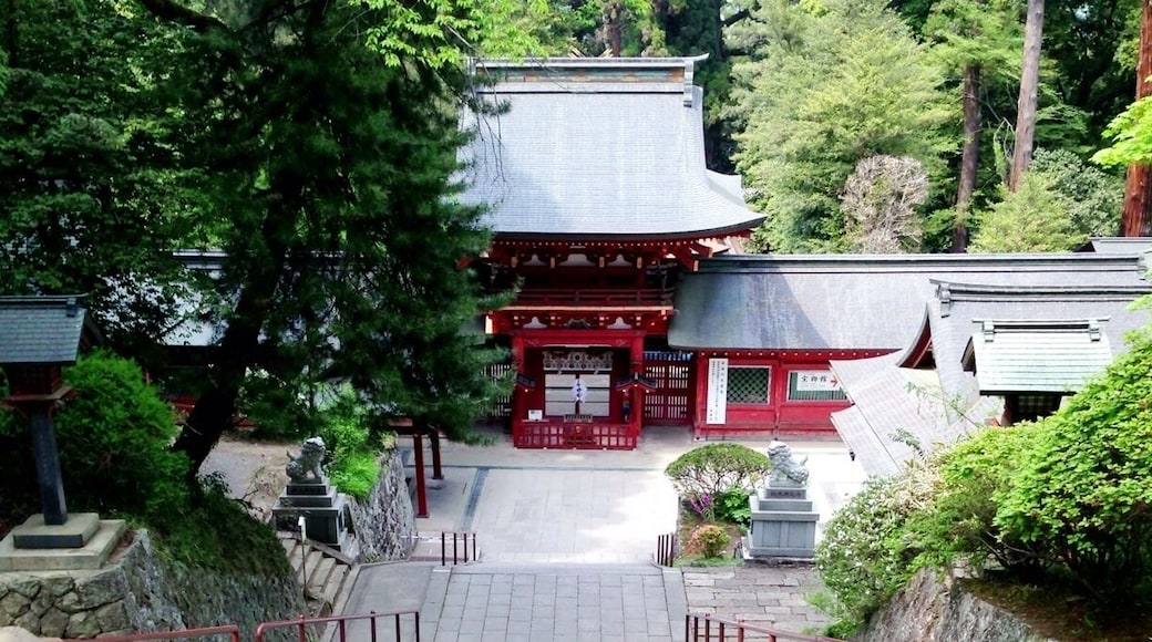 本殿を見下ろす形になっているのは珍しいのでは。