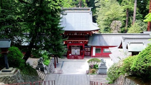 本殿を見下ろす形になっているのは珍しいのでは。