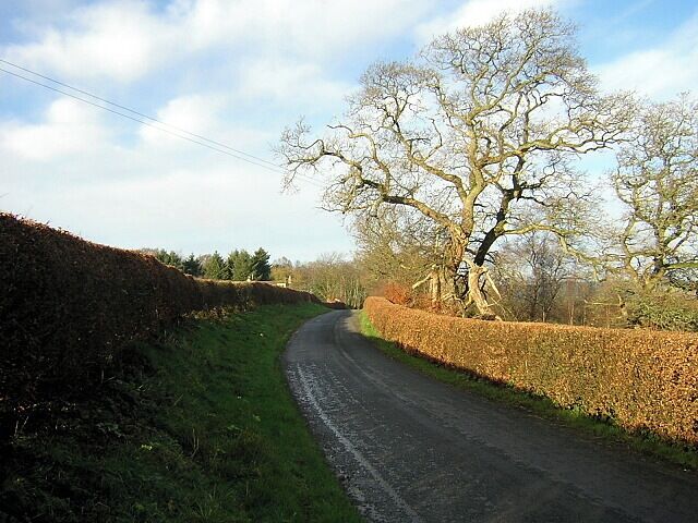 Uma estrada rural estreita ladeada por sebes e árvores sem folhas sob um céu parcialmente nublado.