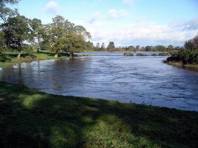 A river with trees on the banks, a grassy foreground, and a cloudy sky.