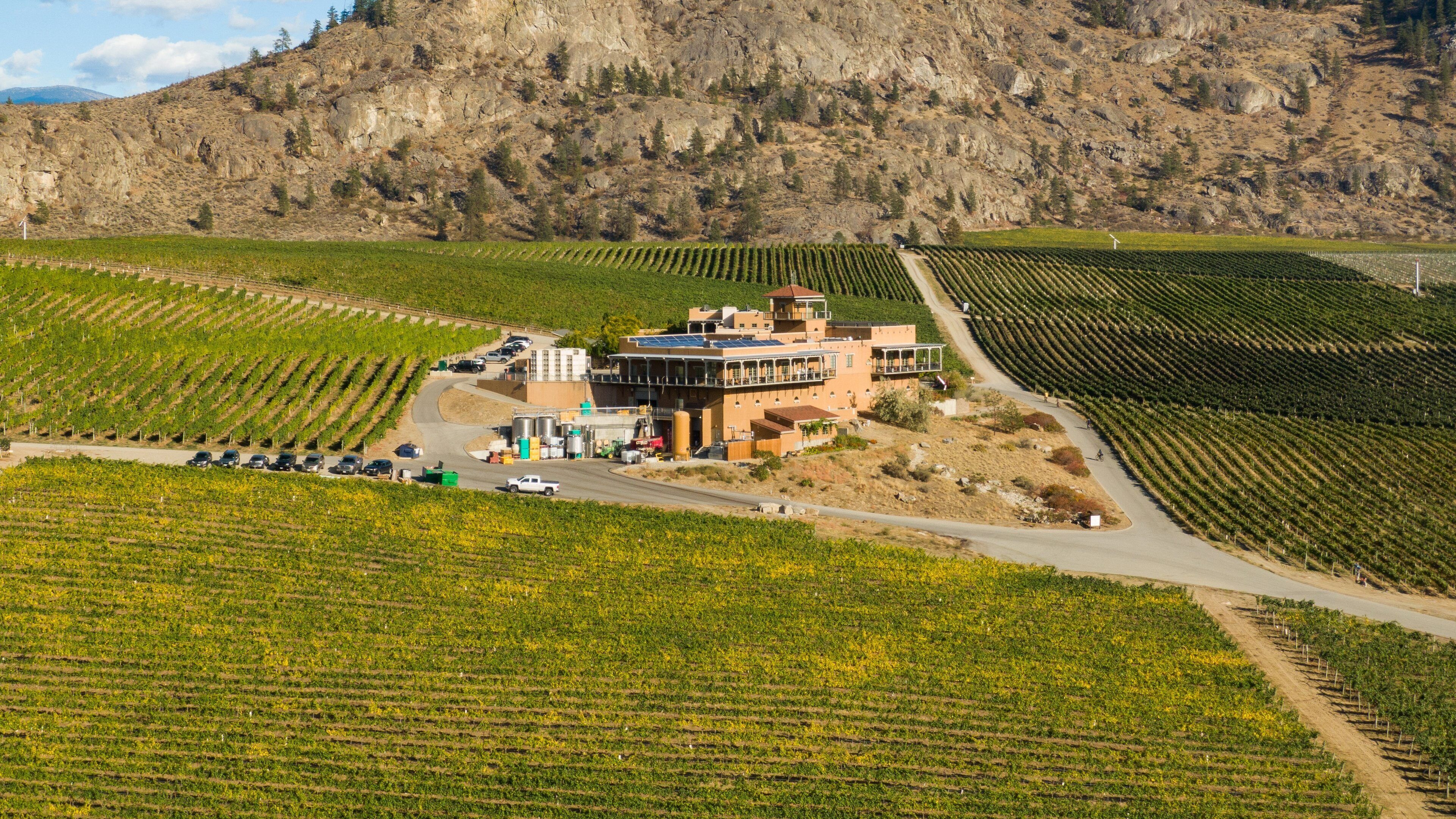 Burrowing Owl Estate Winery showing farmland and landscape views