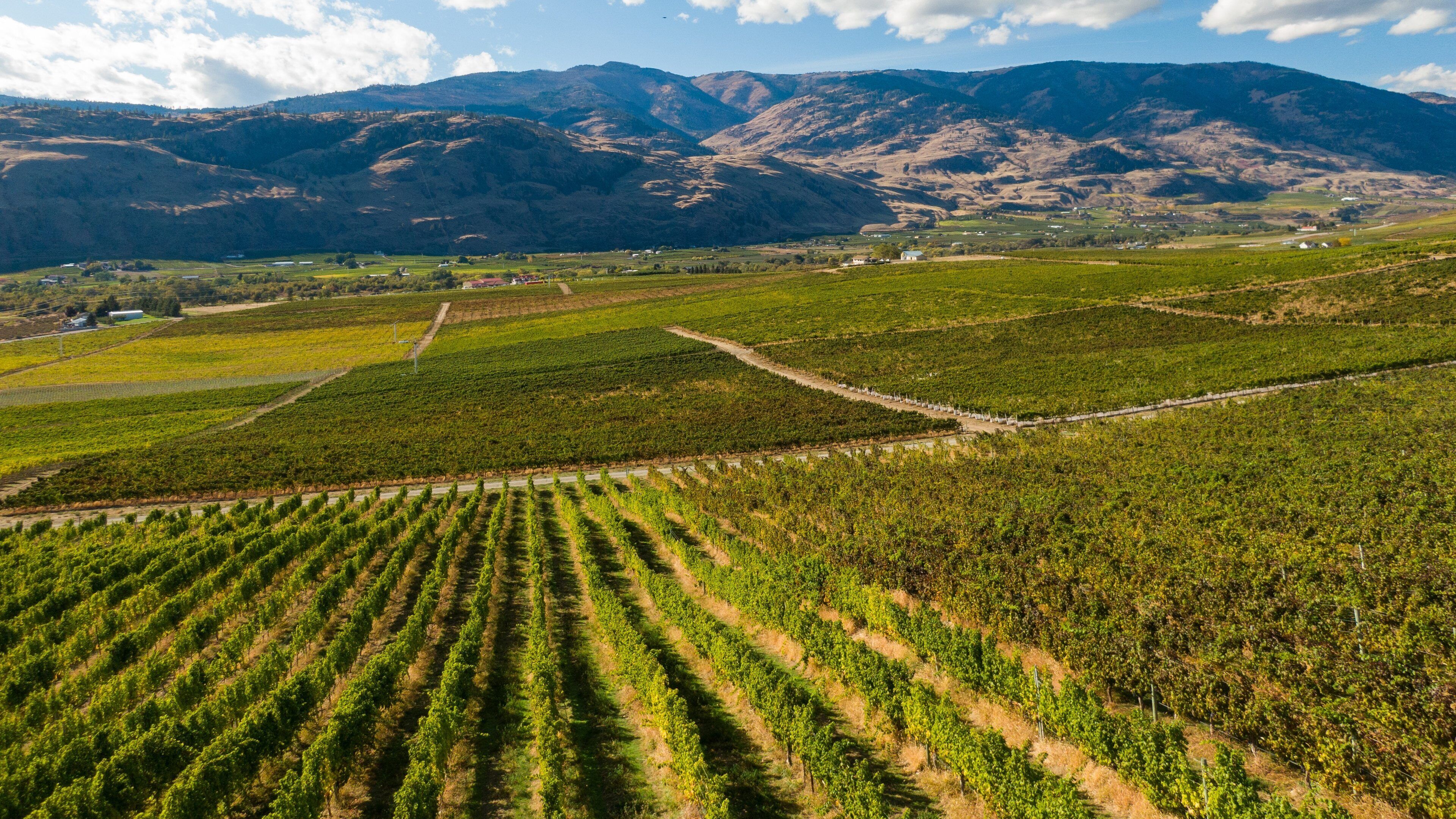 Burrowing Owl Estate Winery showing landscape views and farmland