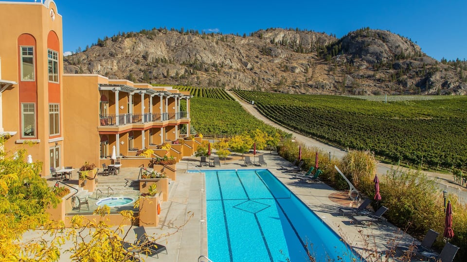 A resort with a swimming pool, outdoor seating, and a vineyard.