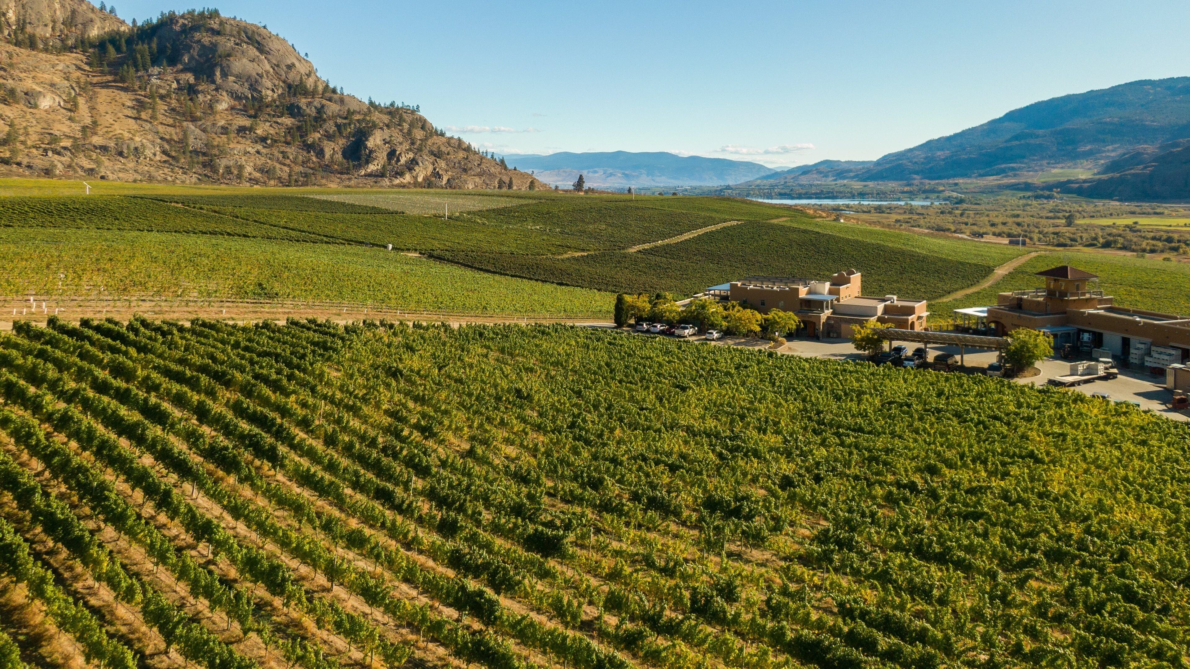 Burrowing Owl Estate Winery which includes farmland and landscape views