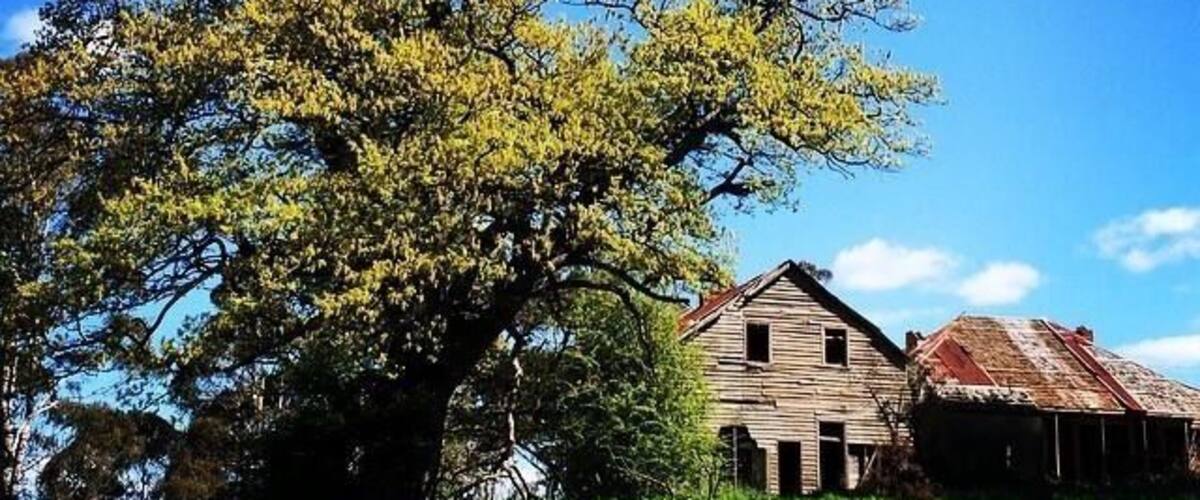 A large tree, a wooden house, and a barn in a grassy field.