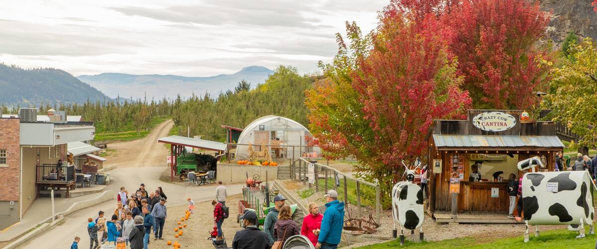 Davison Orchards Country Village featuring a small town or village and a garden as well as a small group of people
