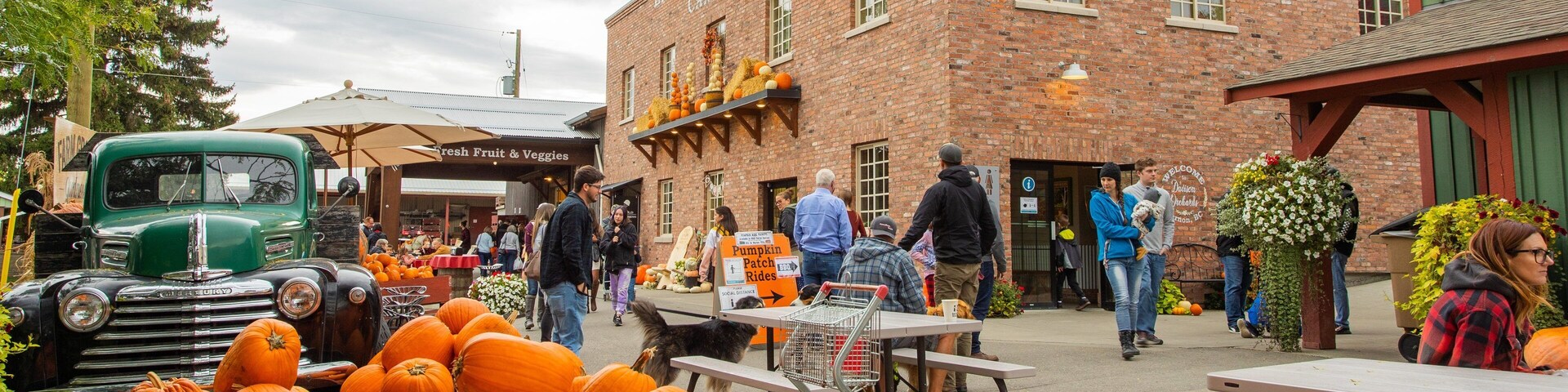 Davison Orchards Country Village which includes heritage elements, food and markets