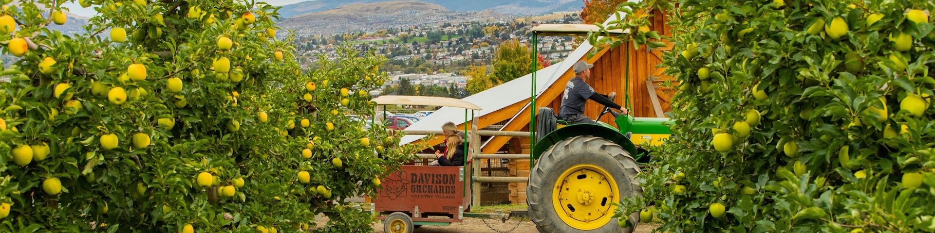 Davison Orchards Country Village showing farmland as well as an individual male