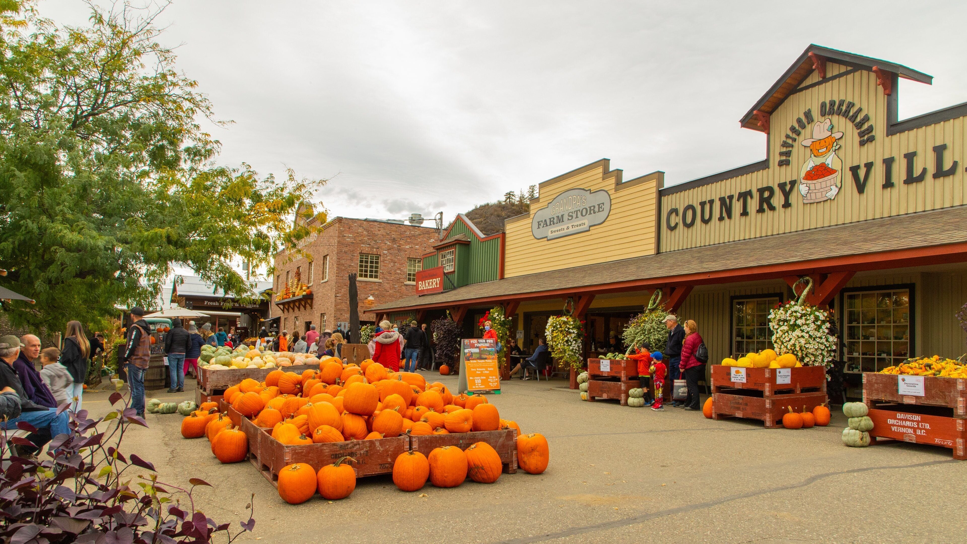 A bustling outdoor market with a prominent sign for Grandpa's Farm Store and Country Village.