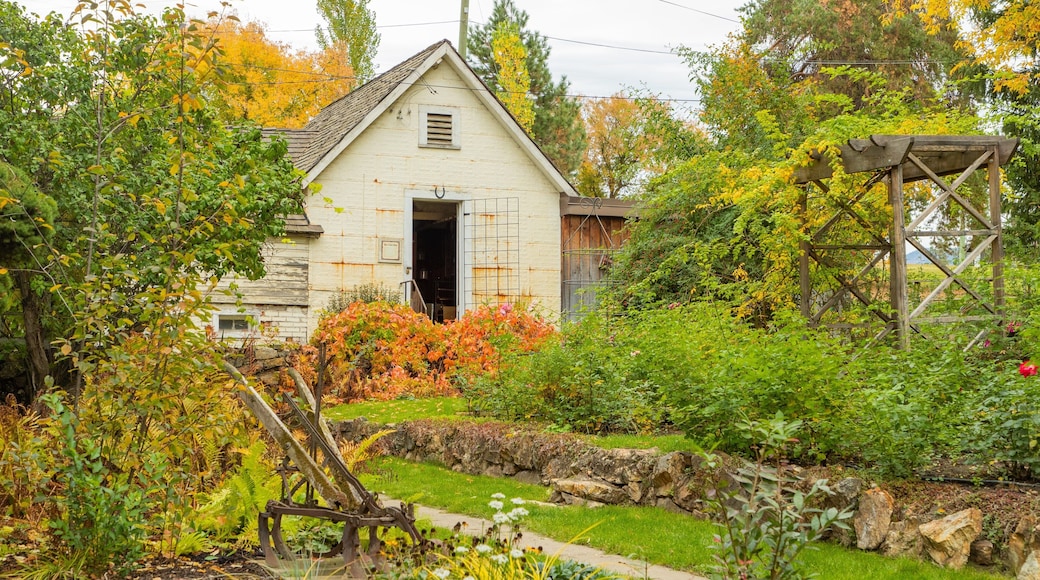 Historic O\'Keefe Ranch featuring a small town or village